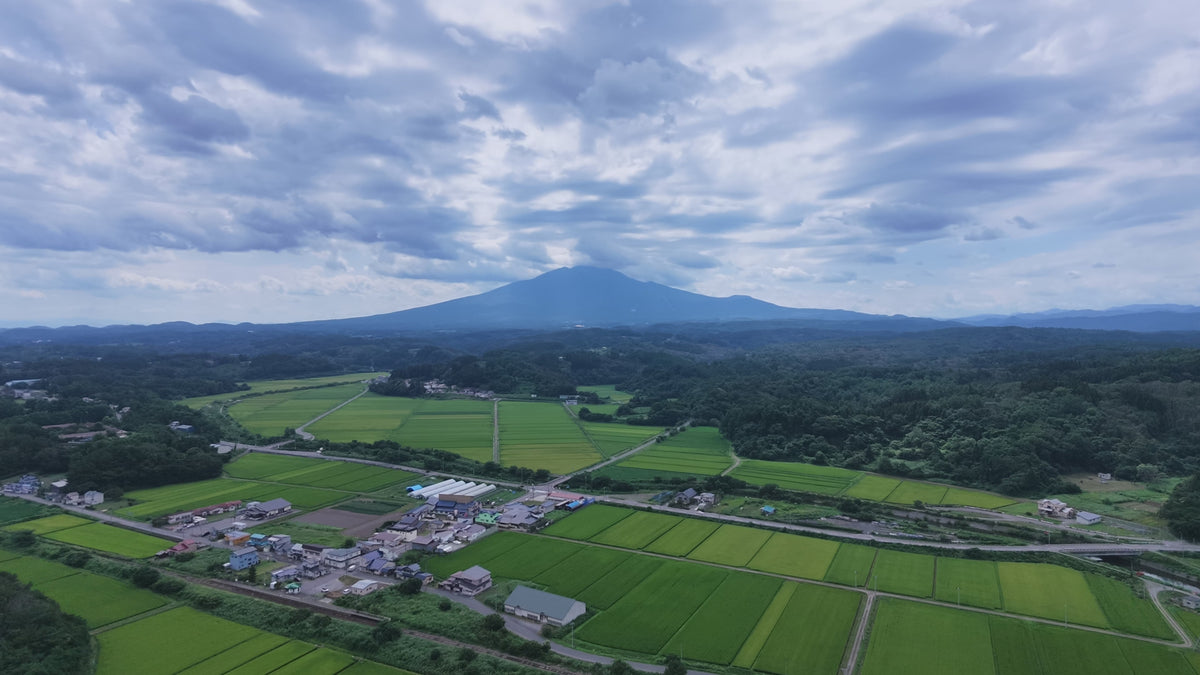 動画を読み込む: 